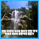 작은 곰 이야기 | 영화 아바타 속으로 들어간 듯한 착각 투말록 폭포의 몽환적인 물줄기