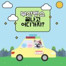 명지센텀유치원 | 2026 부산펫쇼(상) 끝나고 어디가지? 부산 애견동반 장소 정리 및 추천