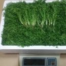 해순농장 이미지