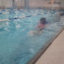 선일교통(주) | [성북구 어린이수영장] 아쿠아마린 키즈스윔 길음점 6살 아이 5개월 차 수강 후기 (주차, 시설, 강습 꿀팁)