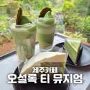 클래식투어코리아 | [제주] " 제주 오설록티뮤지엄" 카페 솔직 리얼 후기_말차 와플 오프레도, 녹차 치케, 한라산 녹차...