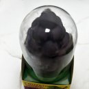 GS25 송산포도 | [신제품/편의점] 신상 GS25시 프로즌 포도 소르베 후기