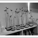 고인돌작은도서관 이미지