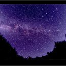 우연히봄 이미지