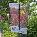 우정가든 | 2025 서울대공원 [장미축제] 테마가든 장미원, 어린이동물원 도시락 후기