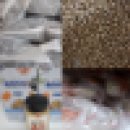 홍일반점 이미지