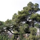 종로-종로-종로-종-251 이미지