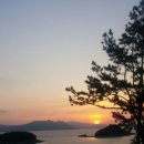진일수산