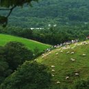 정경목장 이미지