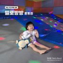 일산 키즈카페 대관 가성비 좋은 세돌 아이랑 가기 좋은 헬로방방