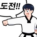 용인대 미르 태권도 이미지