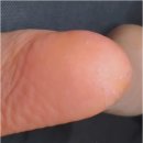 제이블준 | 아시모토 노젠EX 후기 잘못 쓰면 효과 못 보는 이유