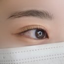 영동초교 | 강릉 속눈썹펌 에르미엘뷰티 각도 계산으로 맞춤 컬 완성! 인형 속눈썹처럼 풍성하게