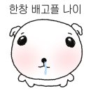 비마이문 이미지