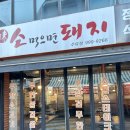 돼지소한마리