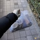 화순이마트주식회사 | [전남/화순 맛집] 슈페리얼급 대형 연어만 사용하고, 내 취향을 존중해주는 '다요스시'