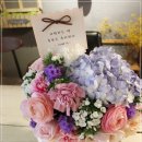 [출산꽃배달 서비스]출산꽃바구니선물/강남 차병원 꽃집 꽃배달 이미지