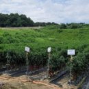 현대종묘농약사 이미지