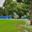 원뜰농장 이미지