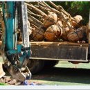 (주)서우비에스에프 | 조경식재공사업, 조경시설물설치공사업 도급순위 1위~200위 (2023년)