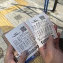 파르마 스테이 이미지