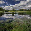 나무이야기 이미지