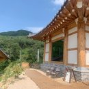 소나모나 이미지