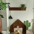 제니펫하우스 | 고양이집-코코제니 '탄탄하우스'