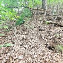 오후의 산책 이미지