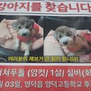 세븐일레븐 영덕우진점 이미지