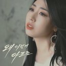나비드(Navid)