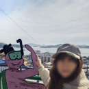 보리마당 골목길 | 20250226~27 수,목_혼자 목포여행(4)_서산동 시화골목_보리마당