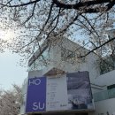 한성수예 | 송파나루공원 석촌호수 사진명소 Top 3 벚꽃만개 모습 및 공원정보 및 역사