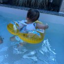 재연목장 이미지