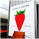 들꽃가람 이미지