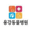 용강동물병원