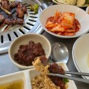 구공탄뽈따구 이미지