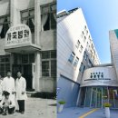 원 동물병원 이미지