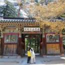 평창 오대산 중대 소종 | 부처님오신날 평창 가볼만한곳 오대산 월정사