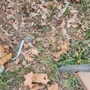 면목천로 이미지