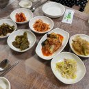 녹수청산 | 대전 둔산동 능이오리백숙 돌판오리정식 오리요리집 - 녹수청산 대전시청본점