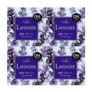 세븐제이스(7Js) 이미지