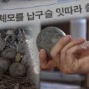 1421 티스토리