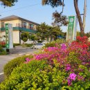 스테이 지천 이미지