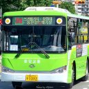 사파동214 이미지