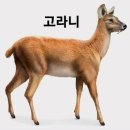 여행가자 이미지