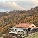 투데이목장 이미지