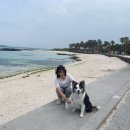 리오애월 이미지