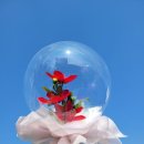 꽃풍선 & 버블 플라워 이미지