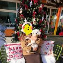 캐나다 멍 빌리지 이미지